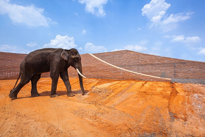 Elephant Museum, Bangkok Project Studio, Krapho (Thaïlande), 2020