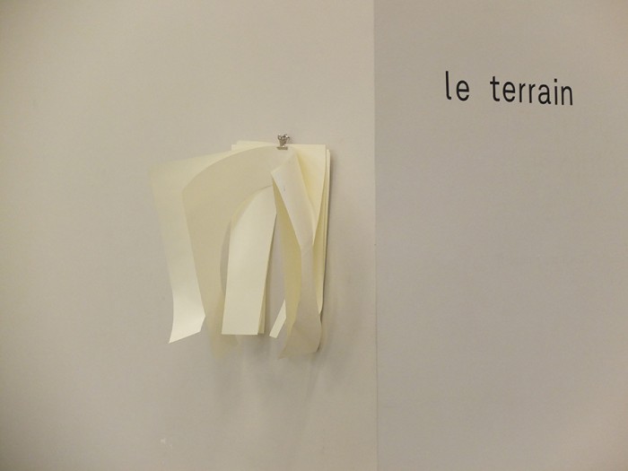 Installation in situ - "Le Terrain" par Max Turnheim et Adrien Durrmeyer, architectes